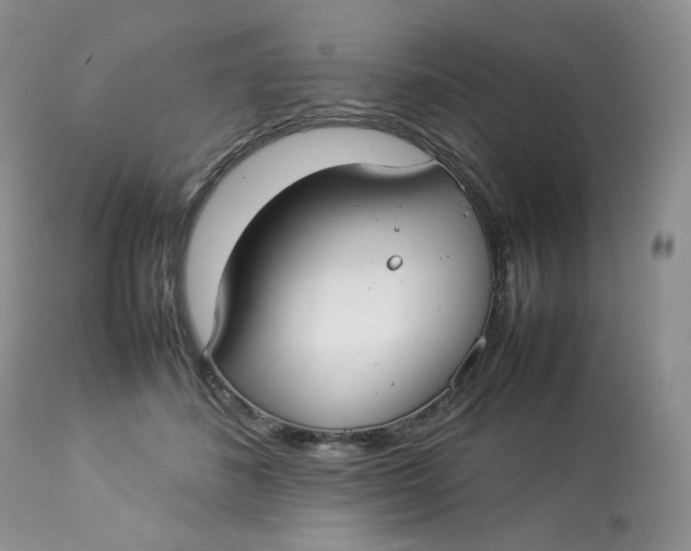 X0000112830508200909111401