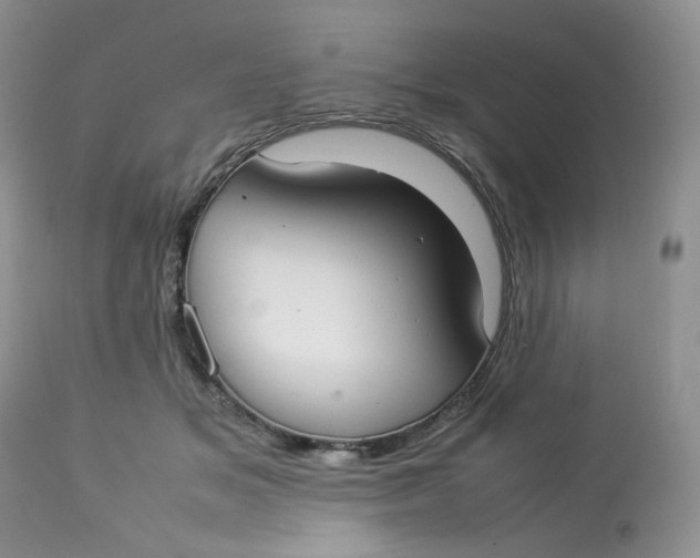 X0000112830509200909111401