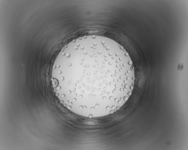 X0000112830510200909111401