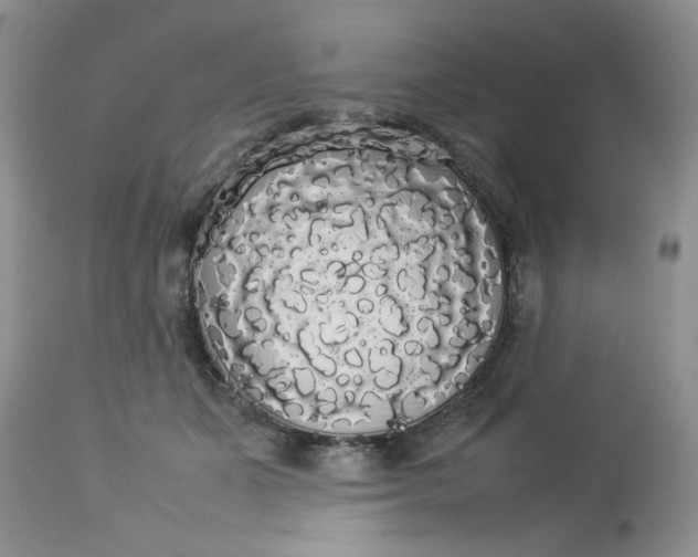 X0000112830511200909111401