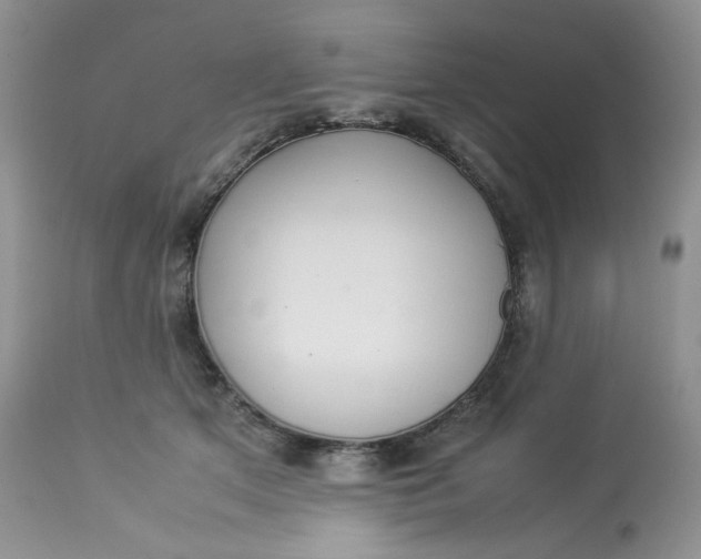 X0000112830513200909111401