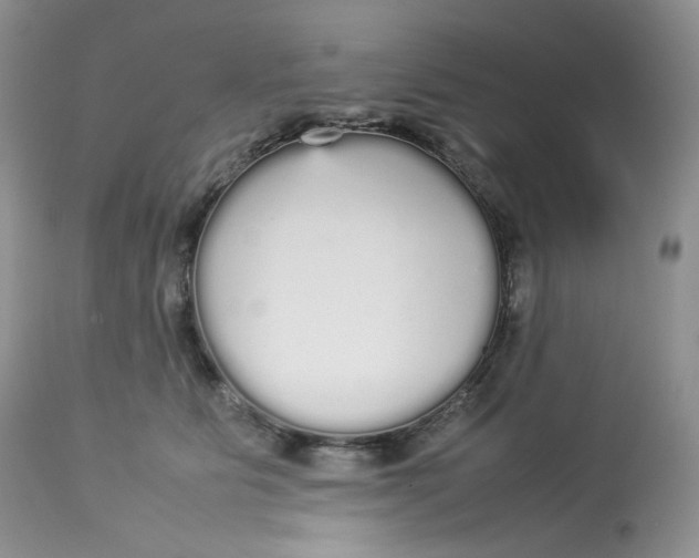 X0000112830515200909111401