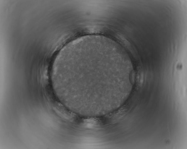 X0000112830516200909111401