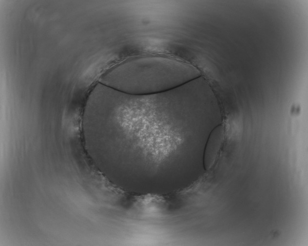 X0000112830517200909111401