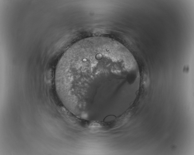 X0000112830519200909111401