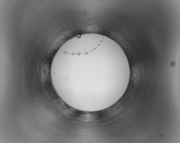 X0000112830522200909111401