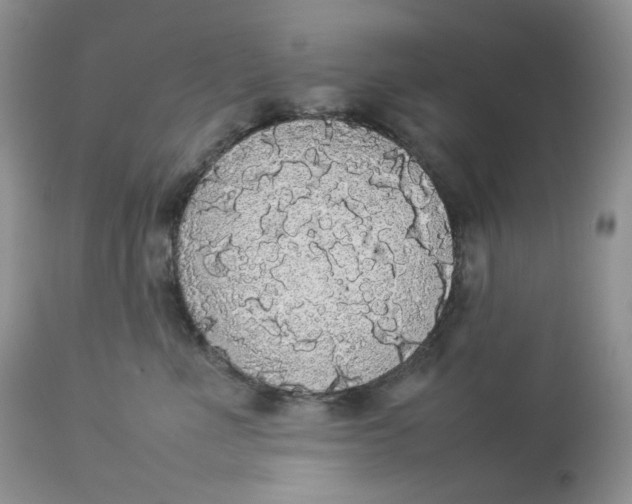 X0000112830523200909111401