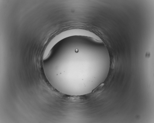 X0000112830524200909111401