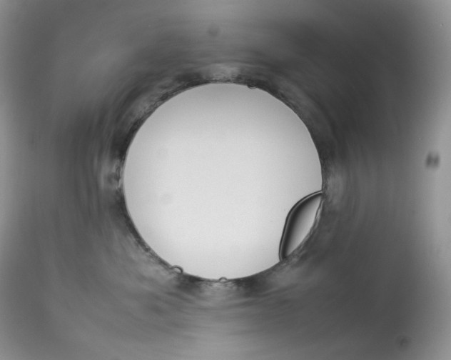 X0000112830525200909111401