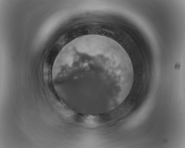 X0000112830527200909111401