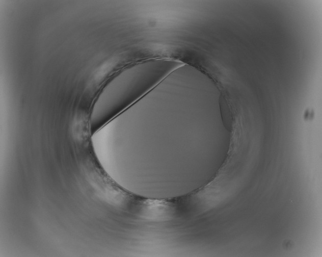 X0000112830528200909111401