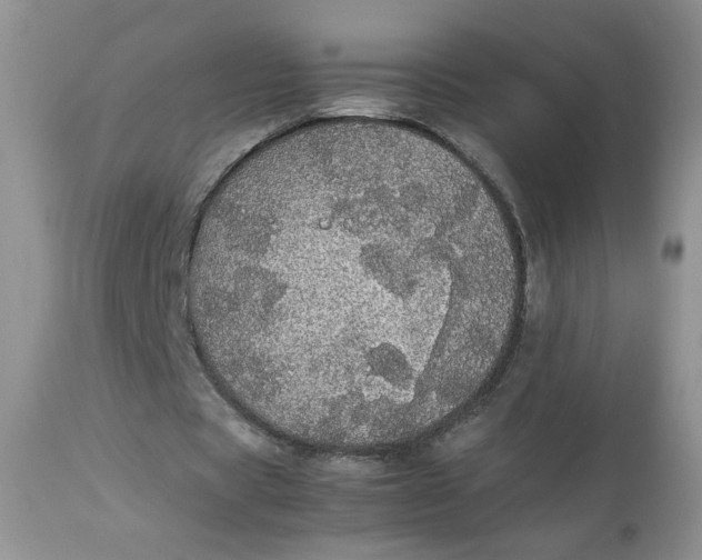 X0000112830529200909111400