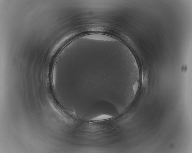 X0000112830531200909111400