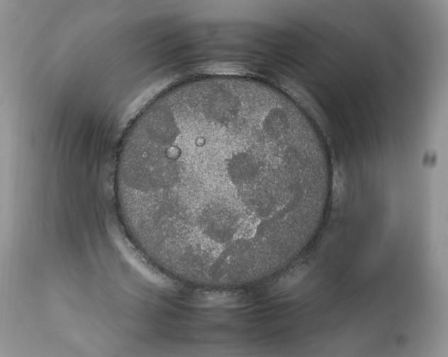 X0000112830533200909111400