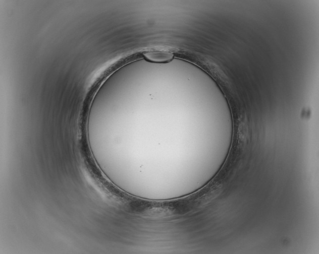 X0000112830536200909111400