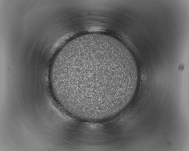 X0000112830539200909111400