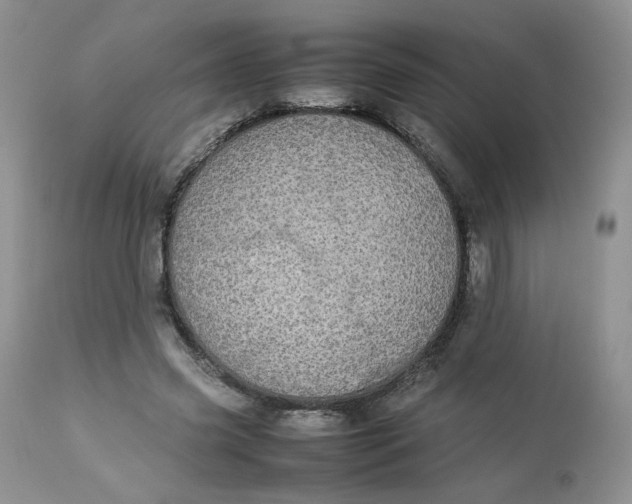 X0000112830541200909111401