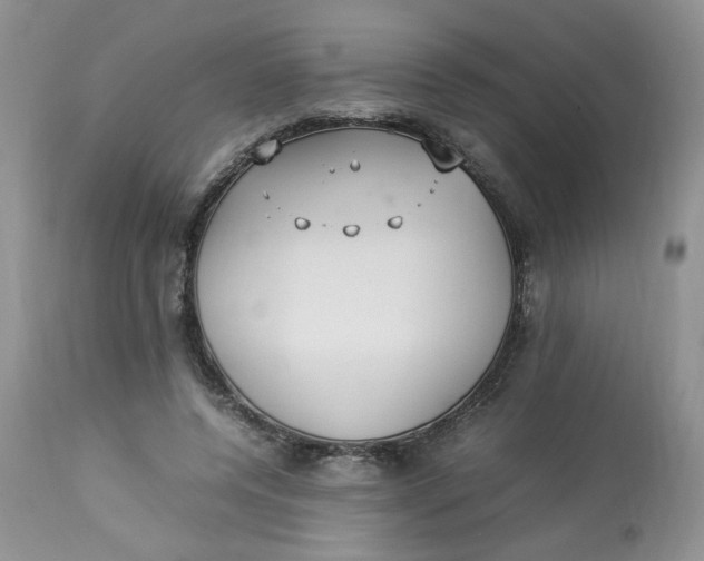 X0000112830544200909111401