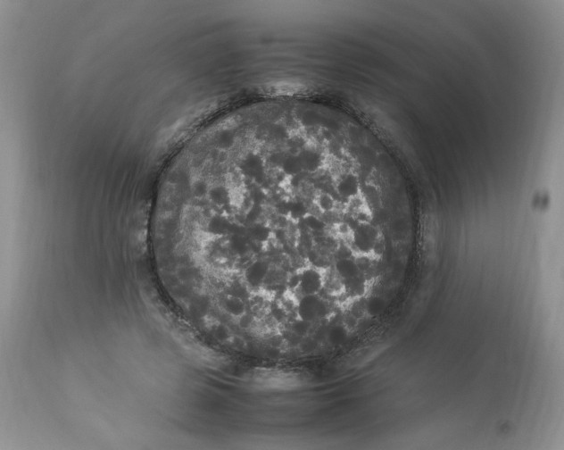 X0000112830545200909111401