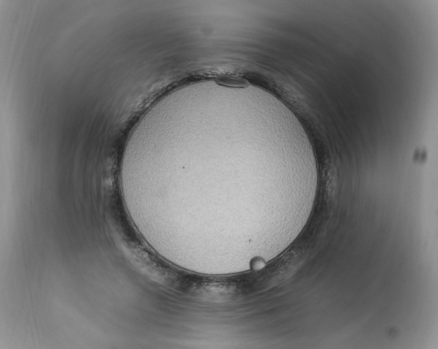 X0000112830546200909111401