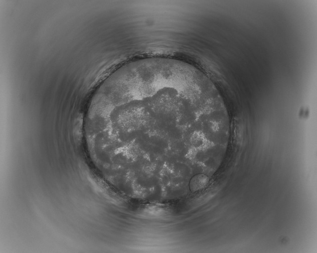 X0000112830550200909111401