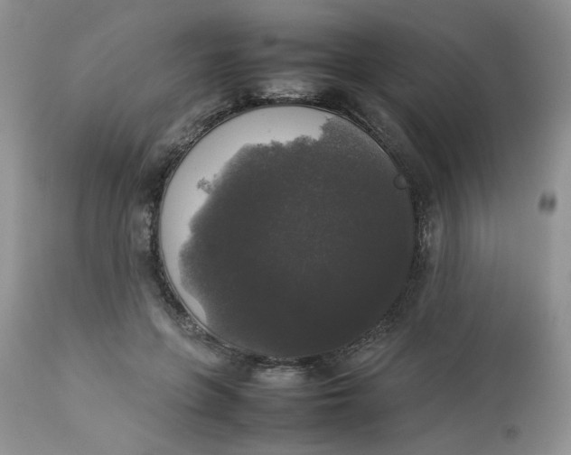 X0000112830551200909111401