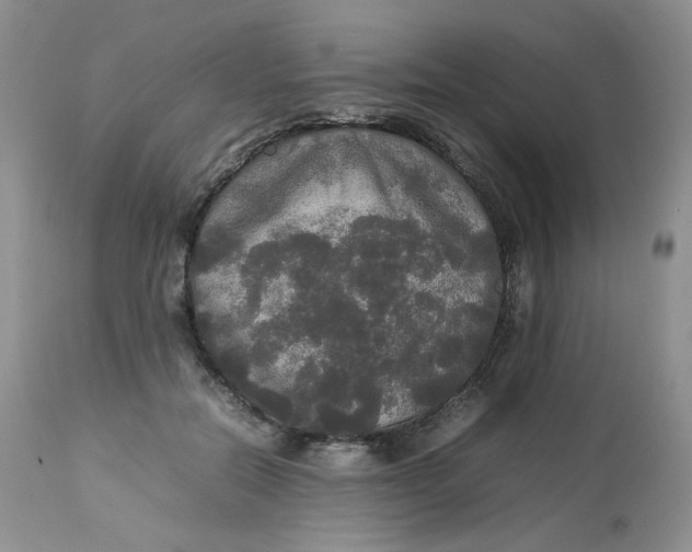 X0000112830554200909111401