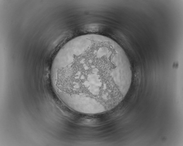 X0000112830555200909111401