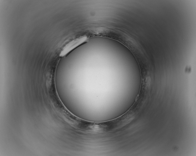 X0000112830558200909111401