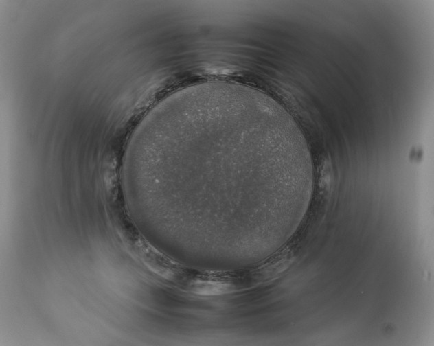 X0000112830559200909111401