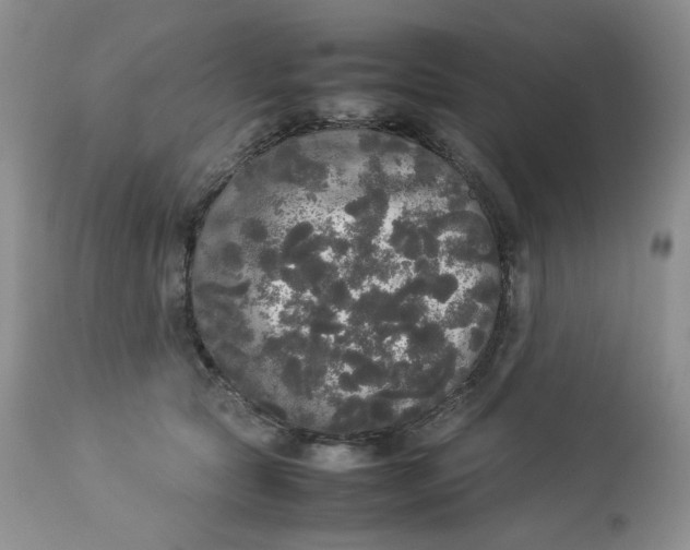 X0000112830561200909111401