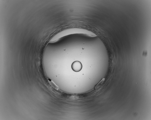 X0000112830562200909111401