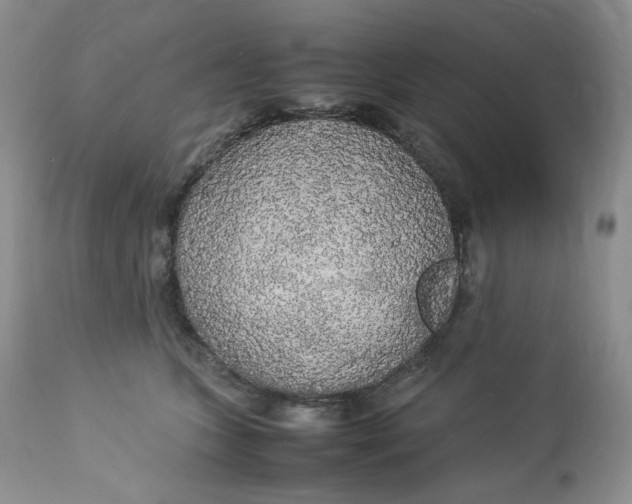 X0000112830563200909111401