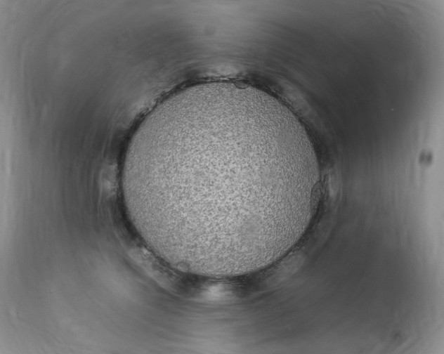 X0000112830564200909111401