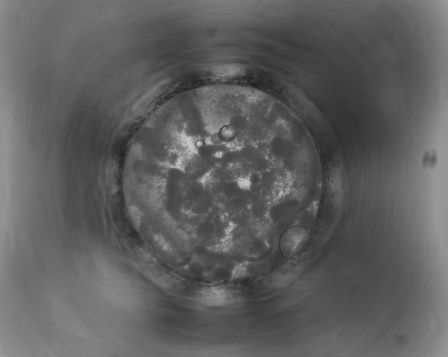 X0000112830565200909111401