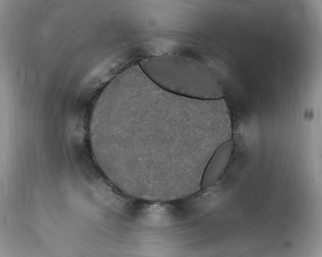 X0000112830566200909111401