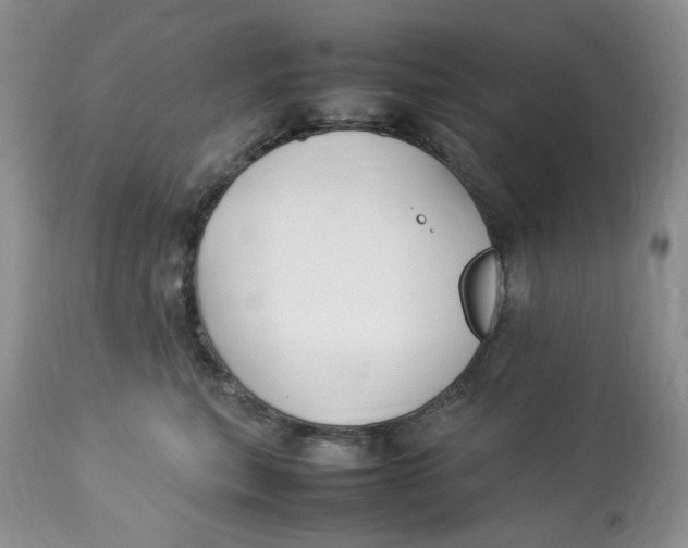 X0000112830567200909111401