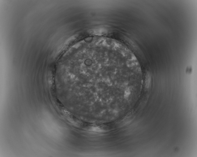 X0000112830569200909111401