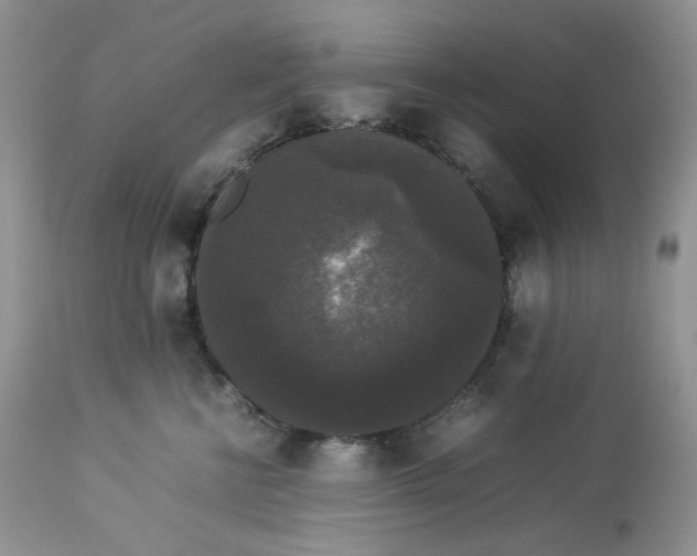 X0000112830570200909111401