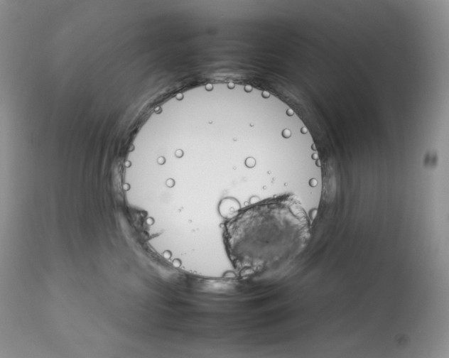 X0000112830573200909111401