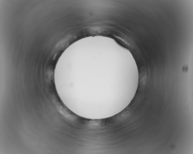 X0000112830574200909111401