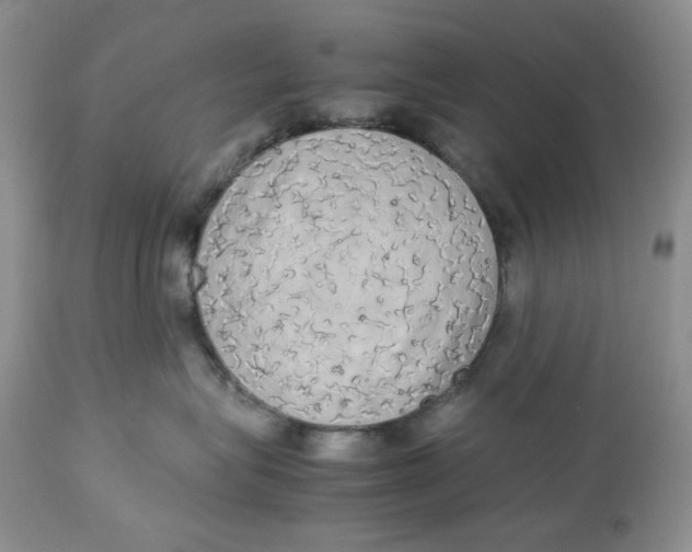 X0000112830575200909111401