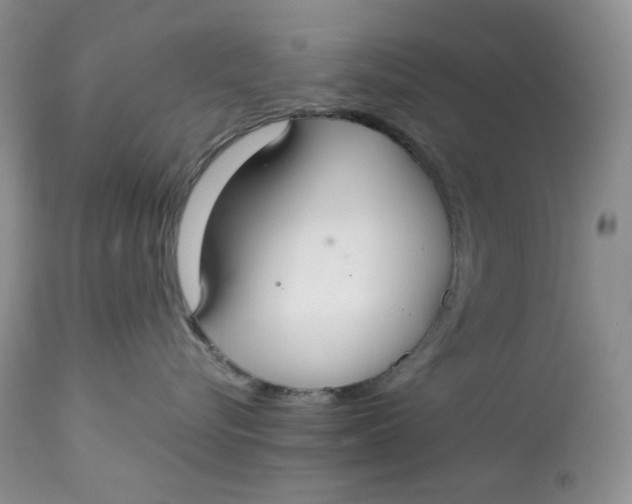 X0000112830576200909111401