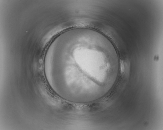 X0000112830579200909111400