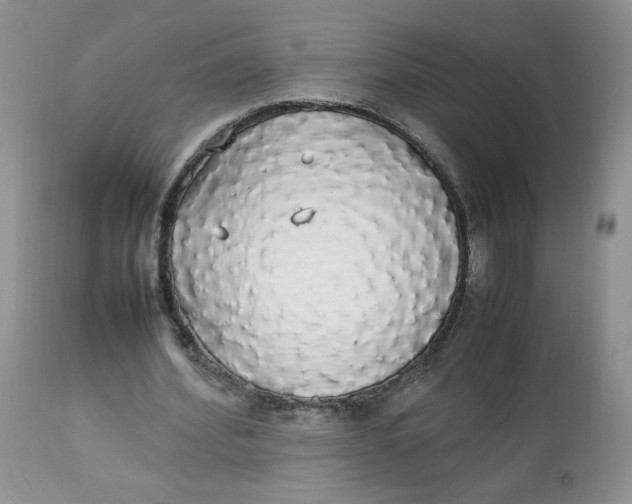 X0000112830580200909111400