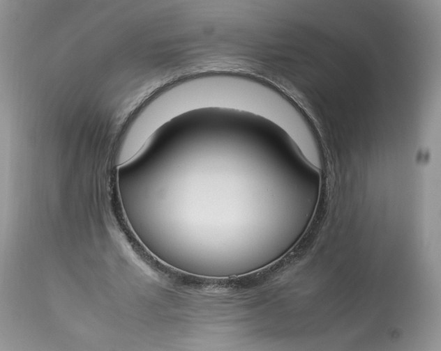 X0000112830581200909111400