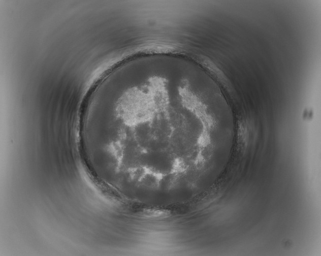 X0000112830582200909111400