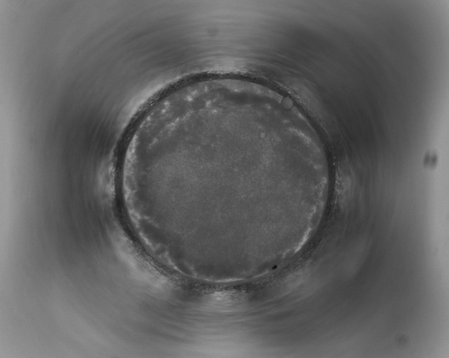 X0000112830584200909111400