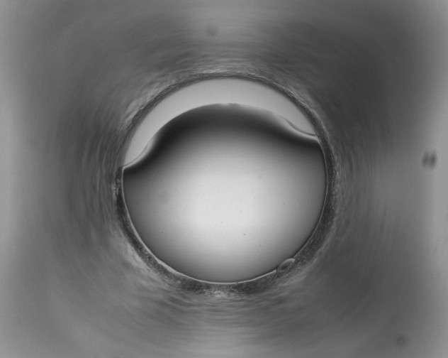 X0000112830585200909111400