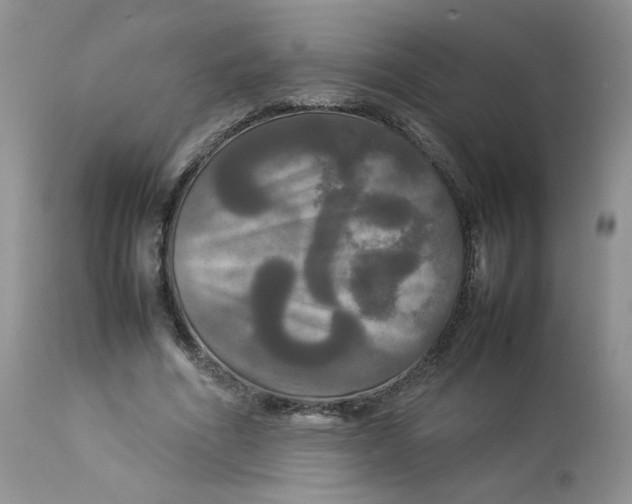 X0000112830586200909111400